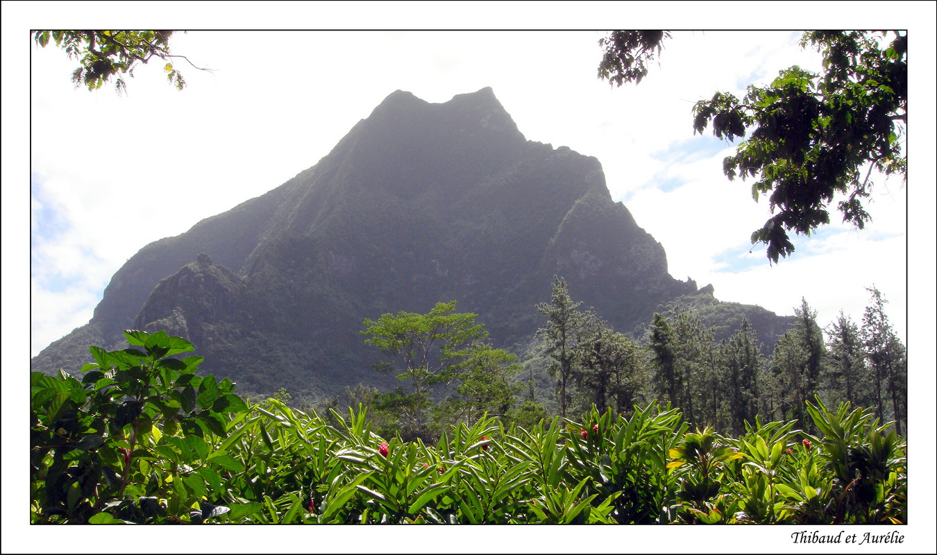 2009 - 08 - Moorea 28